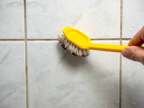 Best Mold Removal Near Me  in Winnebago, IL