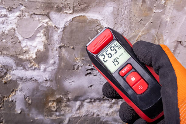 Best Mold Remediation Services  in Winnebago, IL