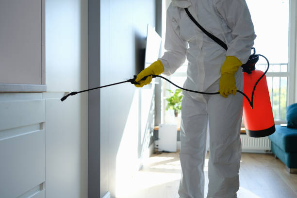 Mold Testing and Removal in Winnebago, IL